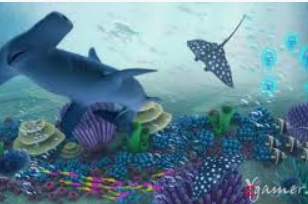 ayx手机版登录入口最新版