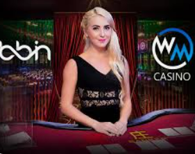 ayx手机版登录入口电脑免费版